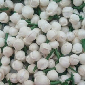 Jasmine Buds(25 Pieces)