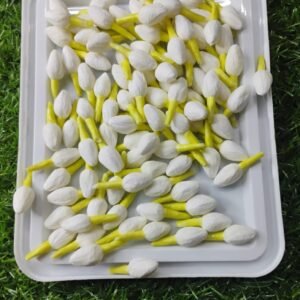 Jasmine Buds Premium Quality(50 Pieces)